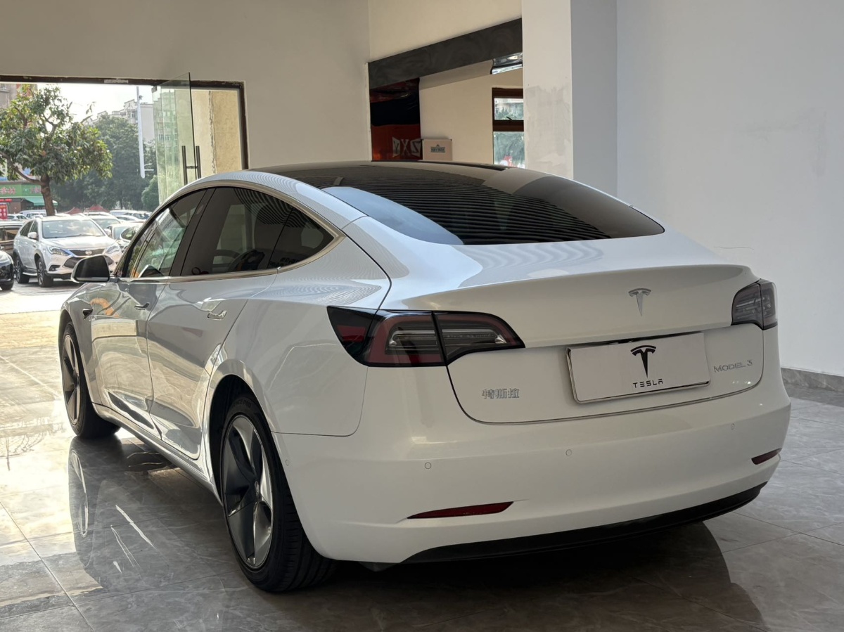 Tesla Model 3 2020 #9 Tesla Model 3 2020 car image #9