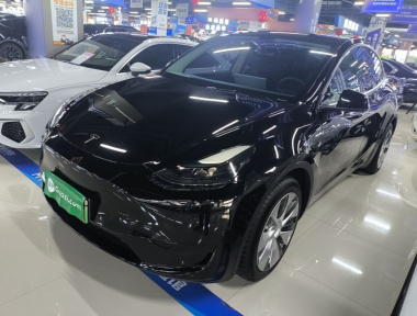 Tesla Model Y 2022 car image 