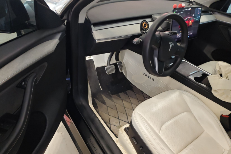 Tesla Model Y 2023 car image #16