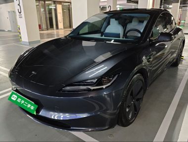 Tesla Model 3 2024 Tesla Model 3 2024 car image