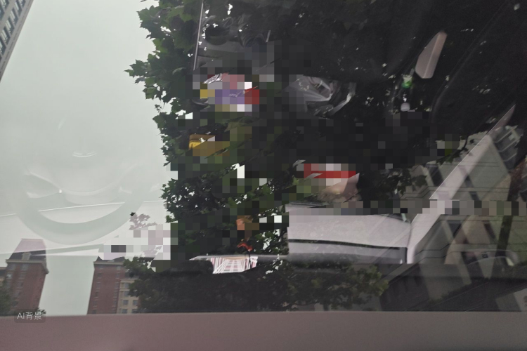 Tesla Model Y 2023 car image #20