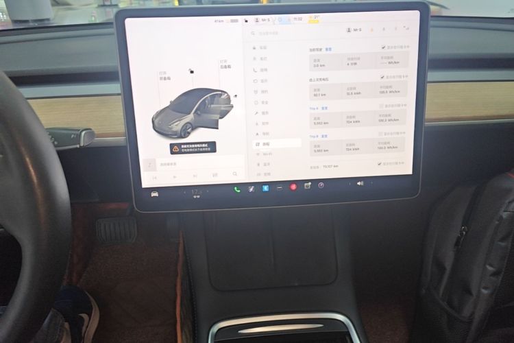 Tesla Model 3 2021 car image #13