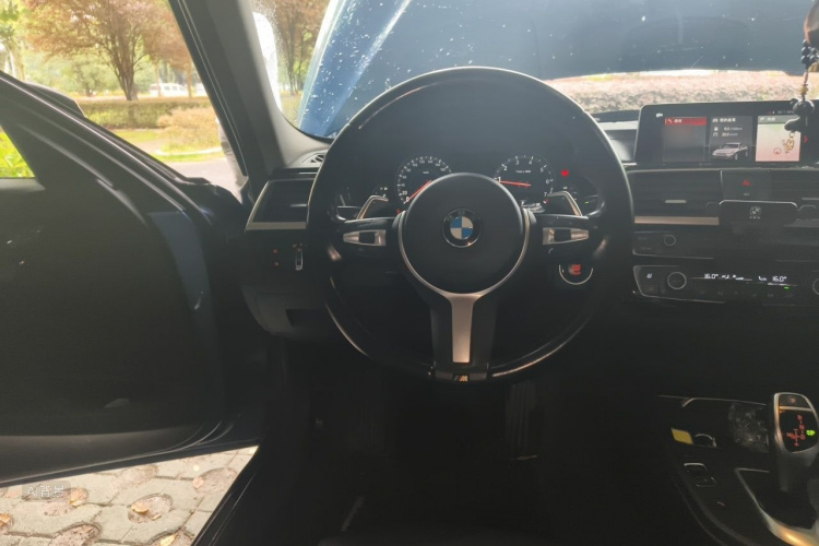 BMW 3 Series 2018 car image #12