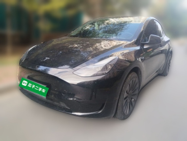 Tesla Model Y 2022 Tesla Model Y 2022 car image