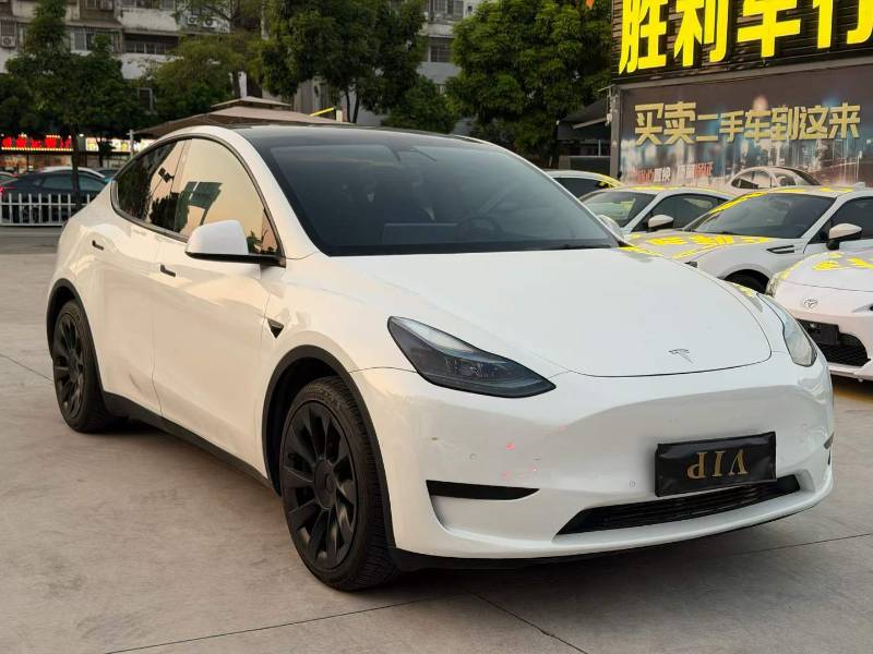 Tesla Model Y 2023 Tesla Model Y 2023 صورة سيارة