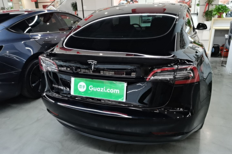 Tesla Model 3 2021 immagine di auto #6
