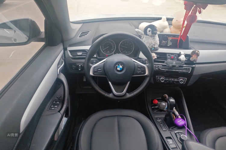 BMW X1 2016 car image #12