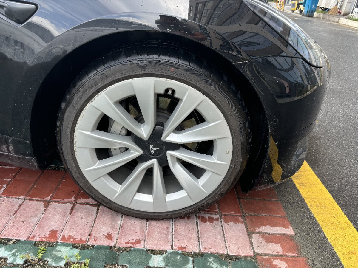 Tesla Model 3 2021 car image #7