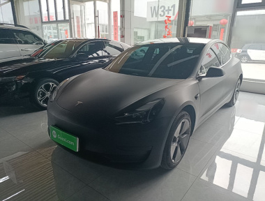 Tesla Model 3 2023 Tesla Model 3 2023 car image