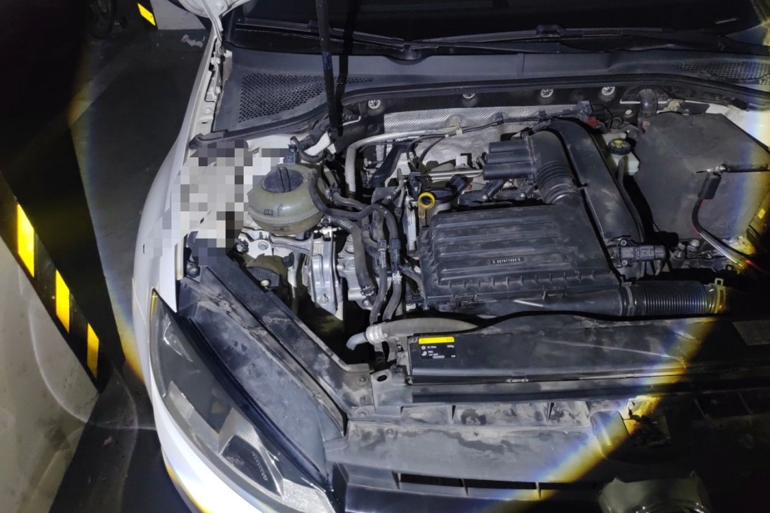 Volkswagen Golf 2014 car image #11