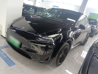 Tesla Model Y 2023 Tesla Model Y 2023 car image