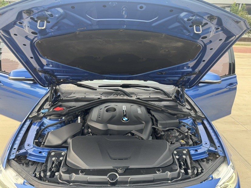 BMW 3 Series 2018 car image #16