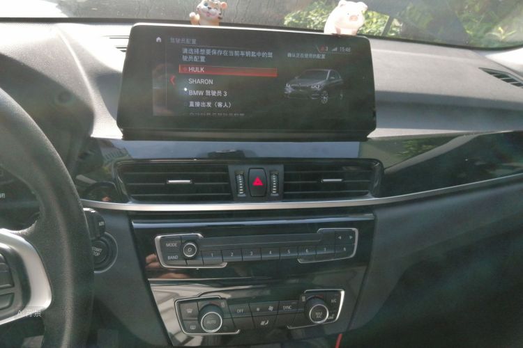 BMW X1 New Energy 2020 car image #15