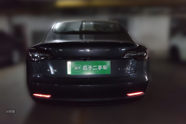 Tesla Model 3 2020 car image #6