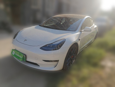 Tesla Model 3 2022 car image 
