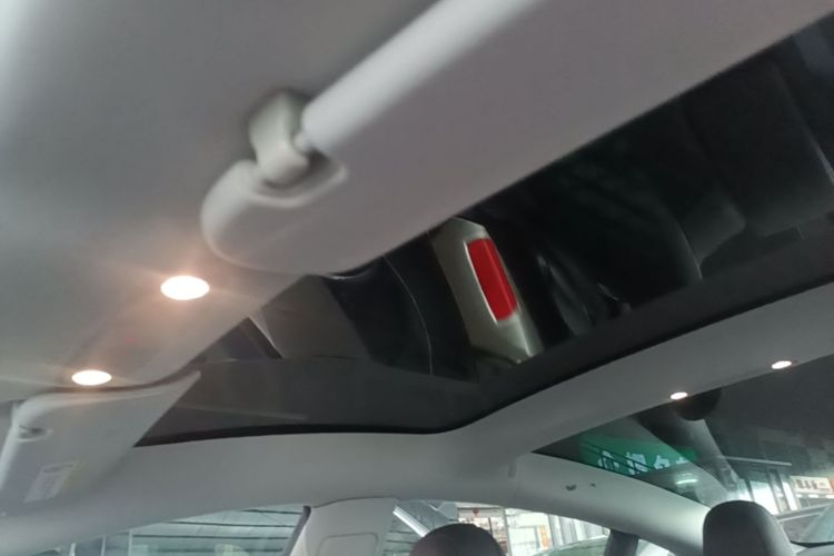 Tesla Model 3 2020 car image #18
