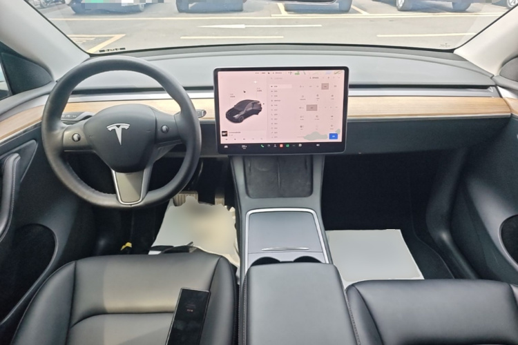 Tesla Model Y 2021 car image #11