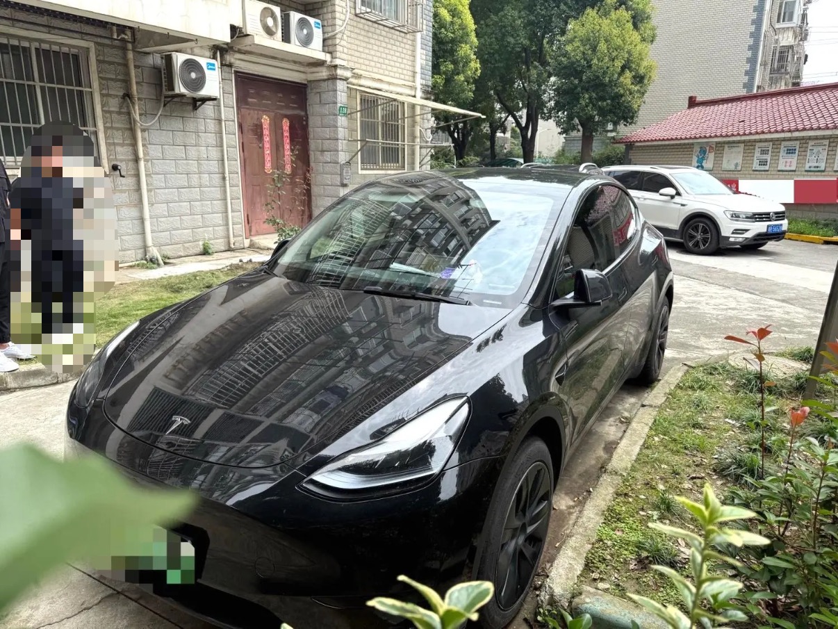 Tesla Model Y 2023 Tesla Model Y 2023 car image
