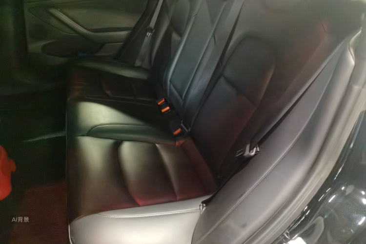 Tesla Model 3 2021 car image #19