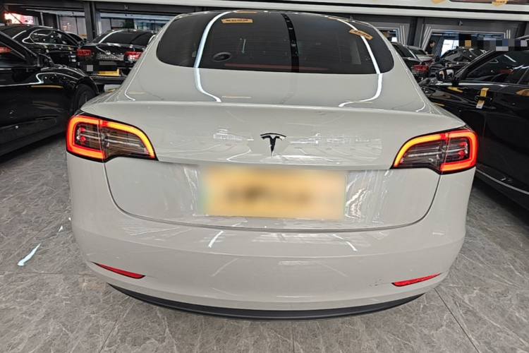 Tesla Model 3 2021 #6 Tesla Model 3 2021 car image #6