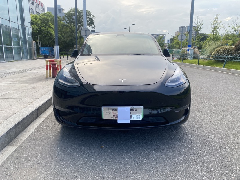 Tesla Model Y 2021 #2 Tesla Model Y 2021 car image #2