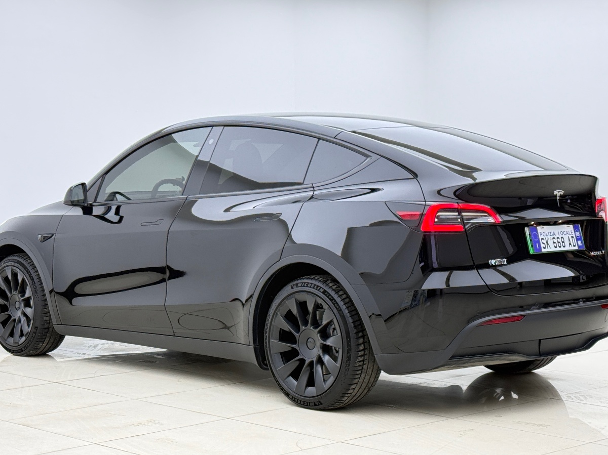 Tesla Model Y 2021 #8 Tesla Model Y 2021 car image #8