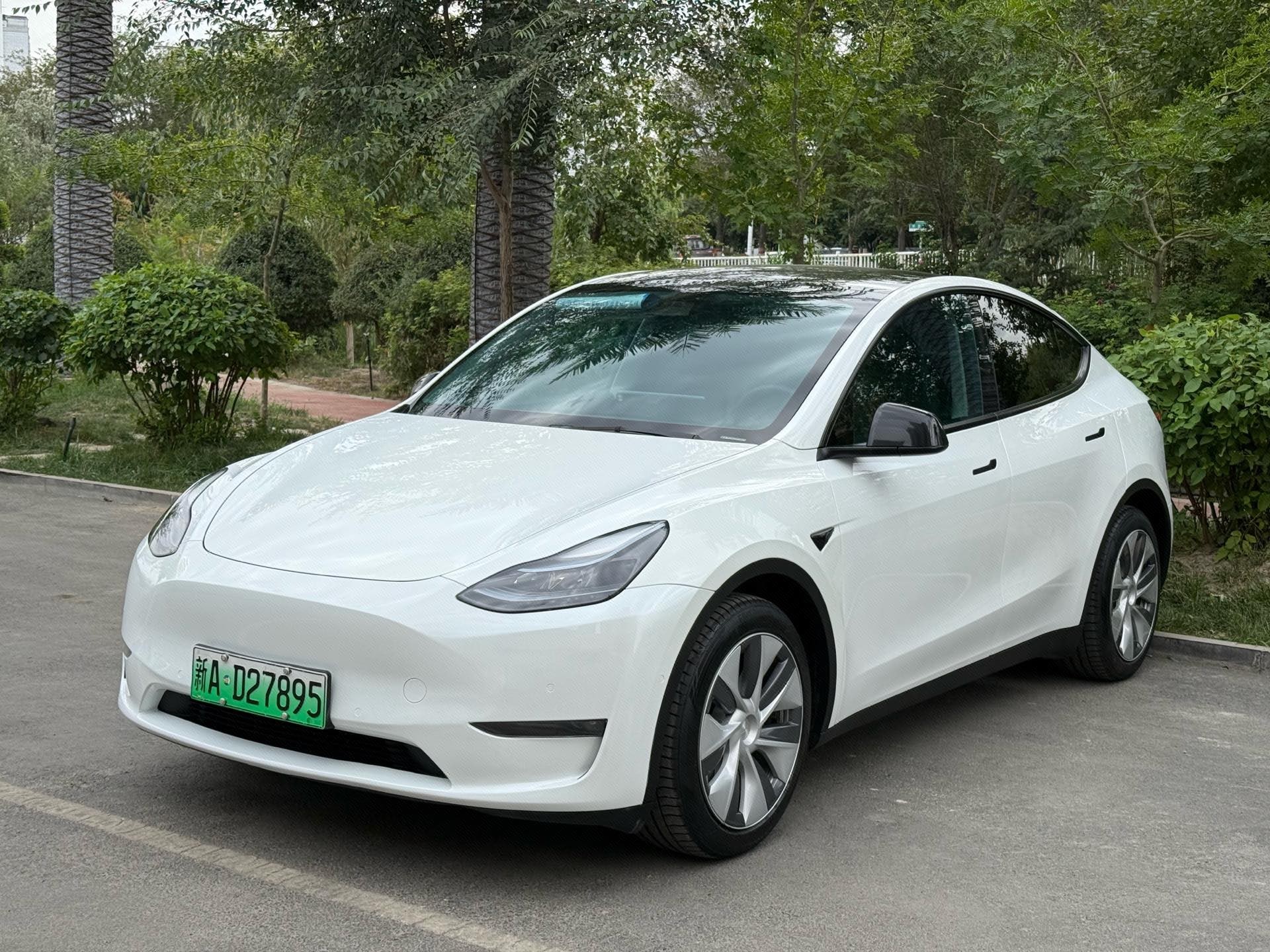 Tesla Model Y 2021 Tesla Model Y 2021 car image