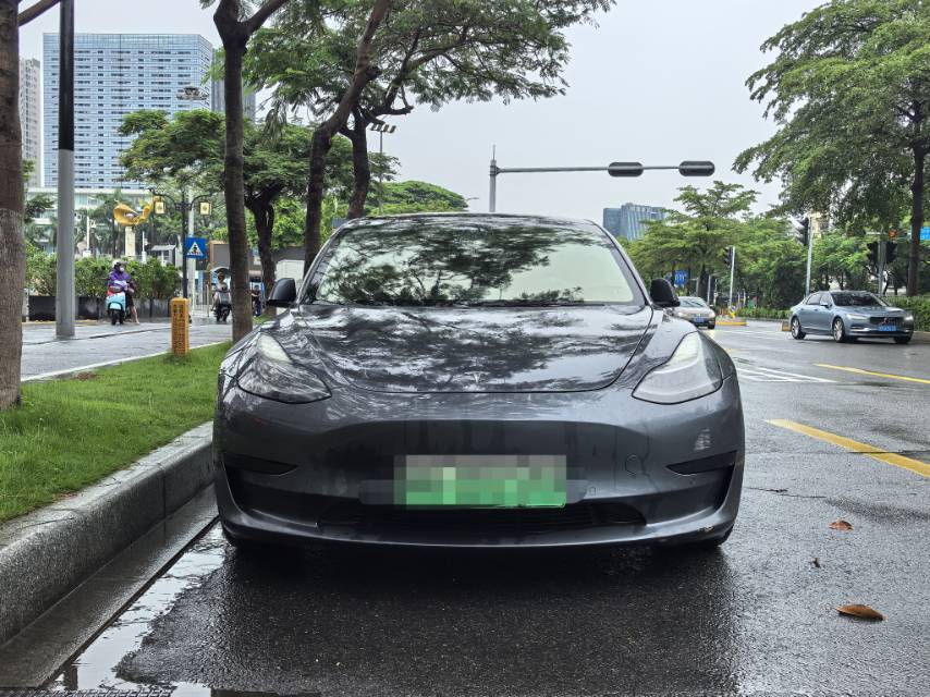 Tesla Model 3 2021 car image #2