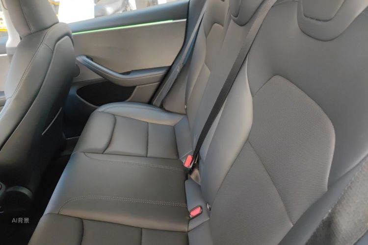 Tesla Model 3 2023 imagem de carro #19