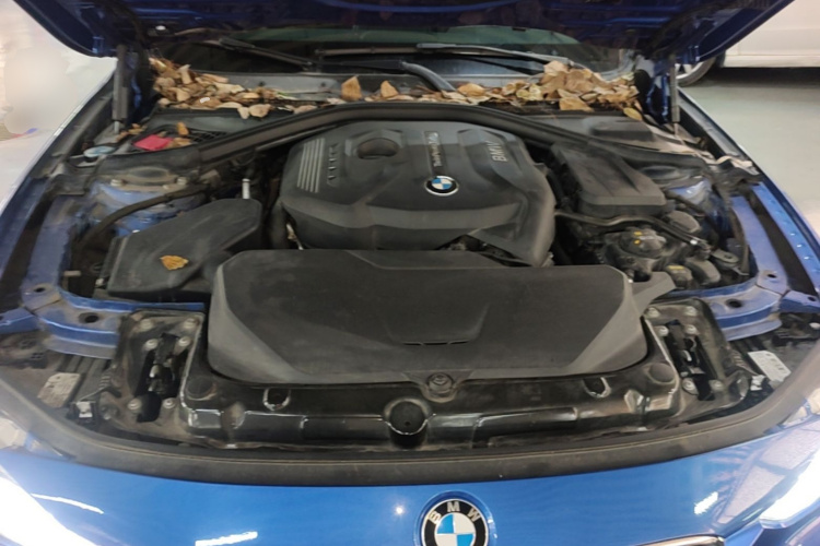 BMW 3 Series 2017 car image #20