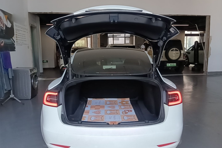 Tesla Model 3 2023 #19 Tesla Model 3 2023 car image #19