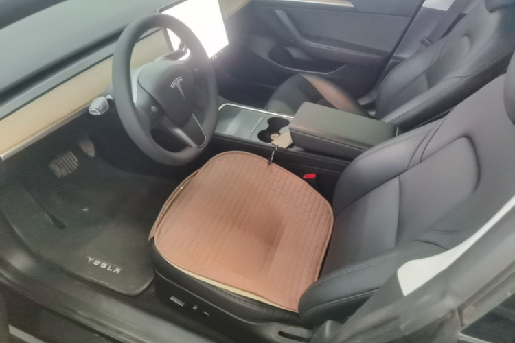 Tesla Model 3 2021 #19 Tesla Model 3 2021 car image #19