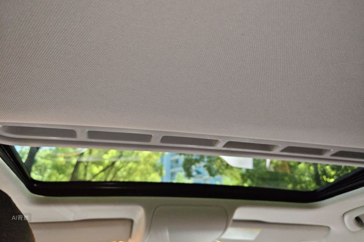 Volkswagen Polo 2016 car image #20