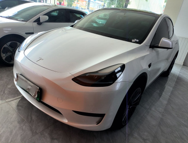 Tesla Model Y 2023 car image 