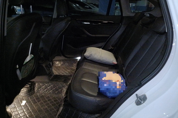 BMW X1 2018 imagen de coche #19