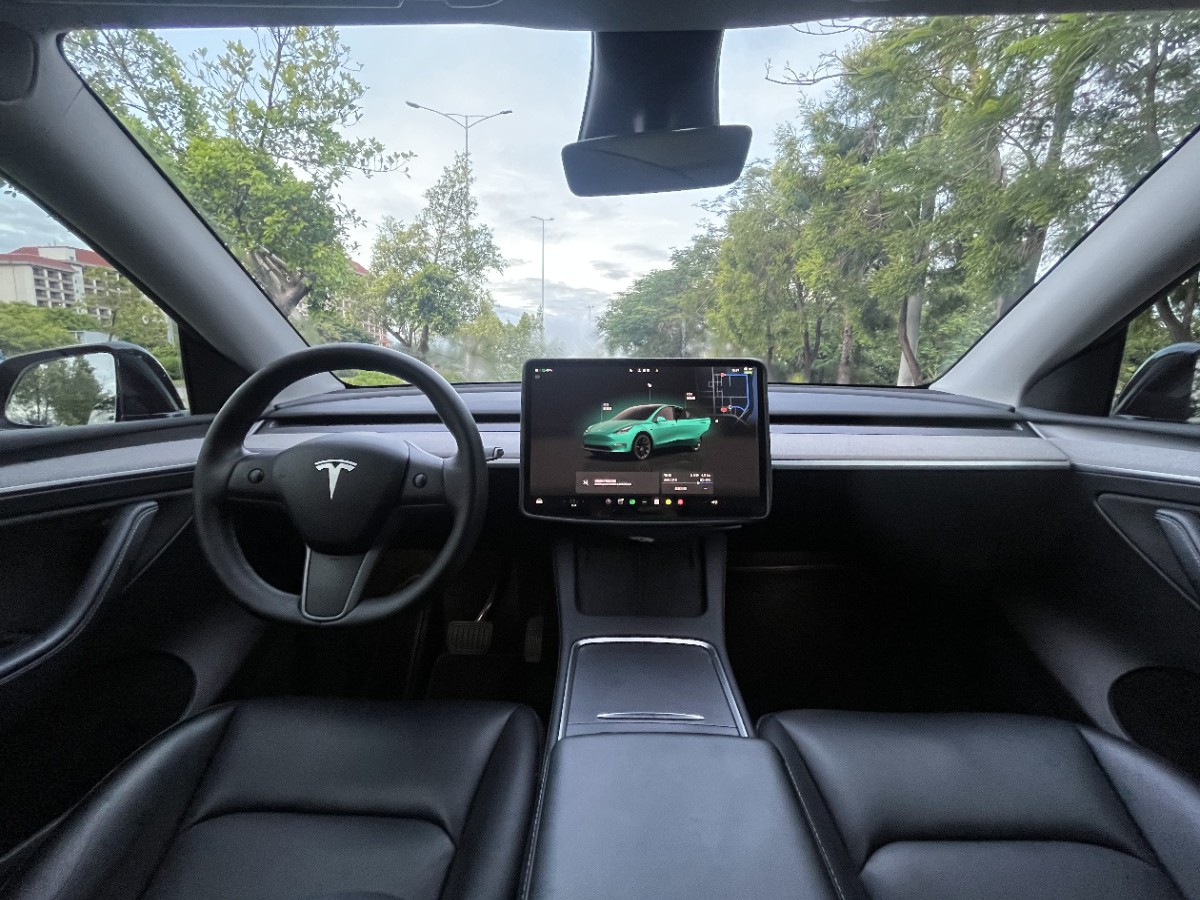 Tesla Model Y 2023 car image #6