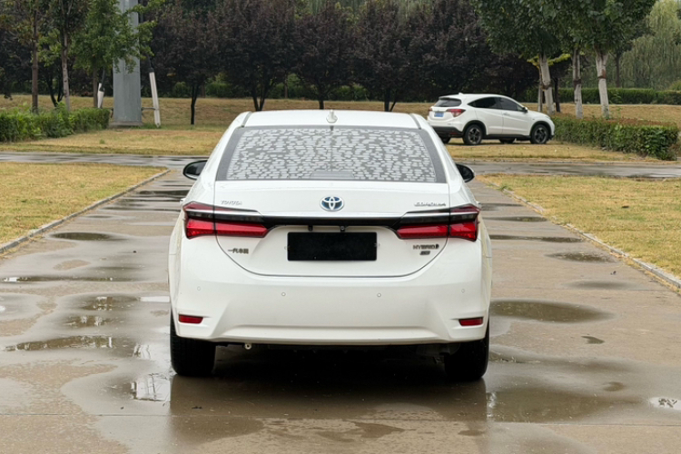 Toyota Corolla 2019 #6 Toyota Corolla 2019 car image #6