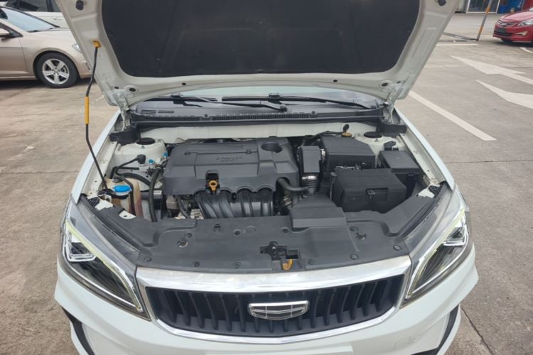 GEELY Emgrand 2021 immagine di auto #20