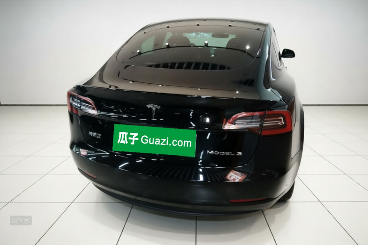 Tesla Model 3 2021 car image #6