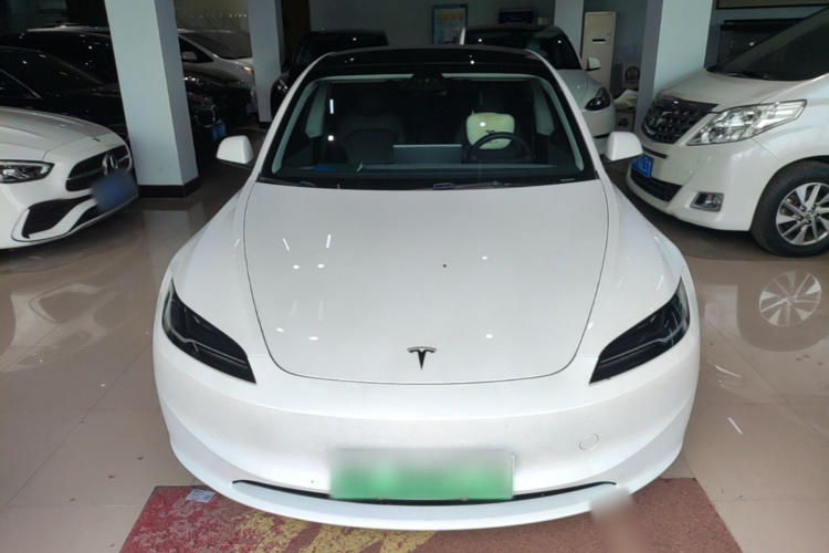 Tesla Model 3 2023 car image #3