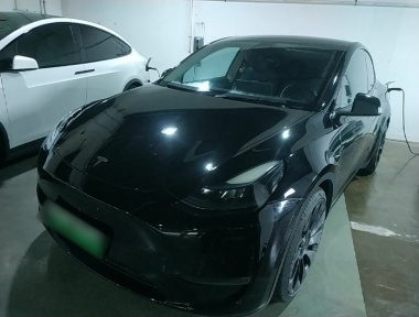 Tesla Model Y 2022 Tesla Model Y 2022 car image