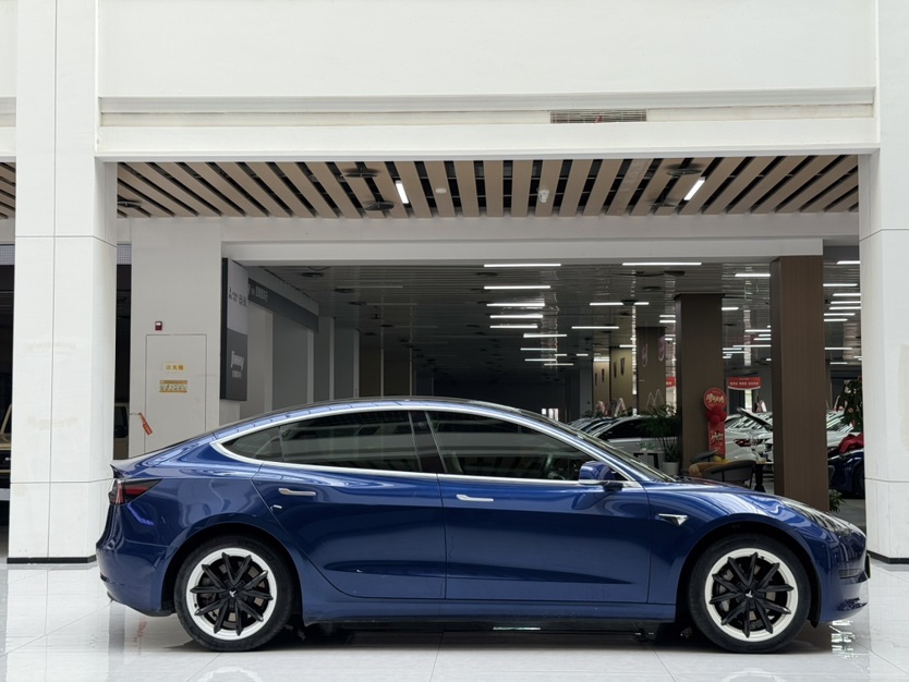 Tesla Model 3 2020 #4 Tesla Model 3 2020 car image #4