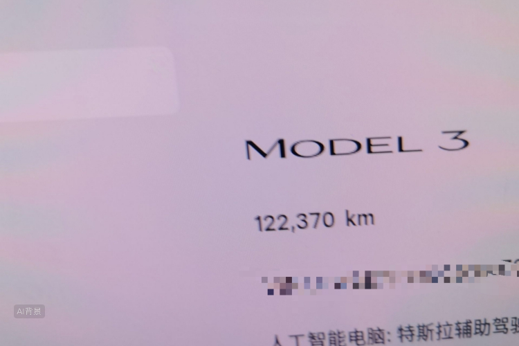 Tesla Model 3 2022 #14 Tesla Model 3 2022 car image #14