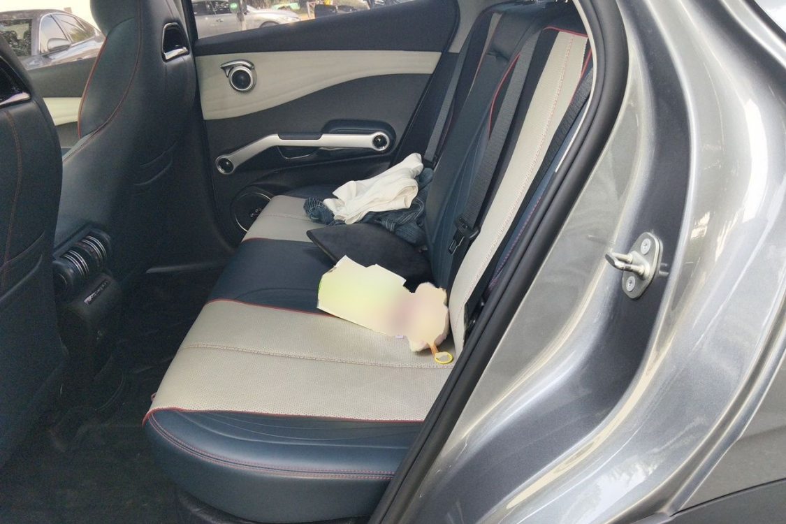 BYD Yuan Plus 2023 car image #19