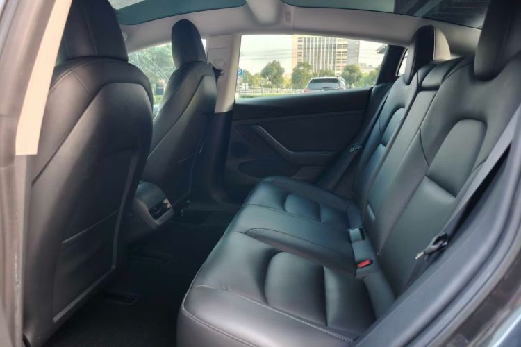 Tesla Model 3 2021 car image #17