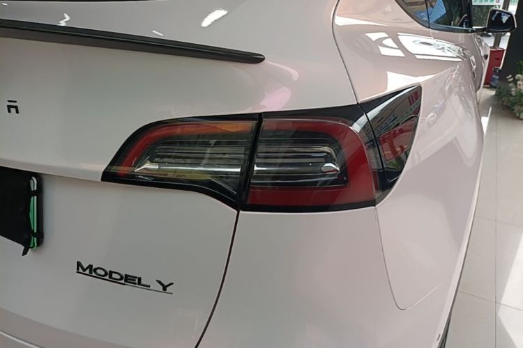 Tesla Model Y 2021 car image #8