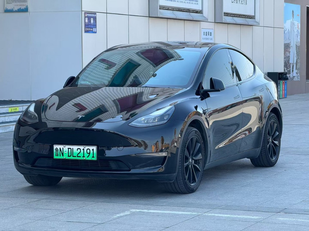 Tesla Model Y 2021 Tesla Model Y 2021 car image