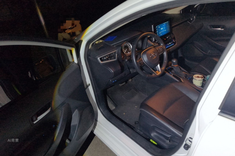 Toyota Corolla 2021 car image #18