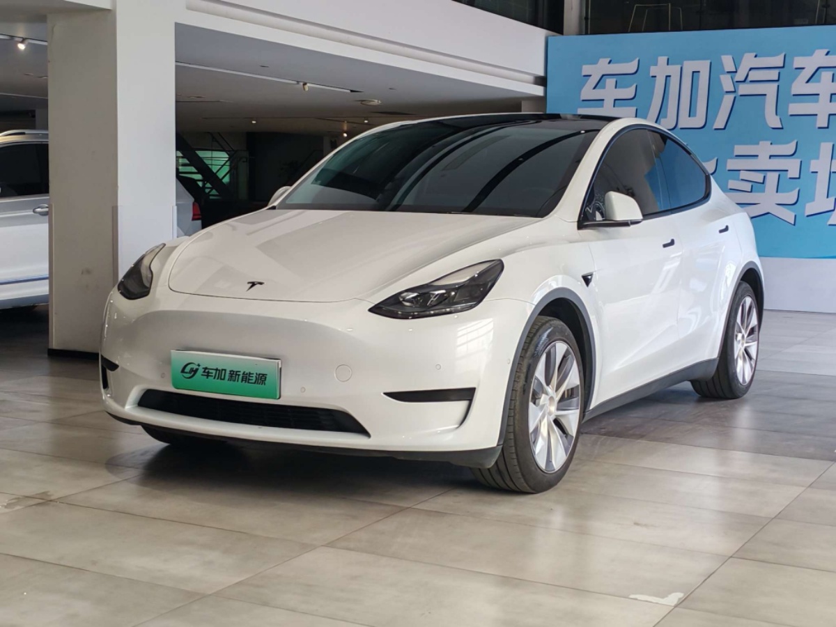 Tesla Model Y 2023 car image 