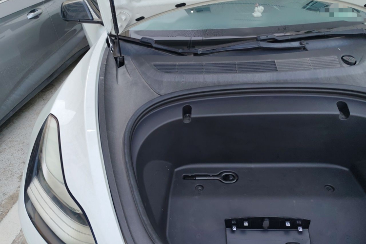 Tesla Model 3 2020 #28 Tesla Model 3 2020 car image #28